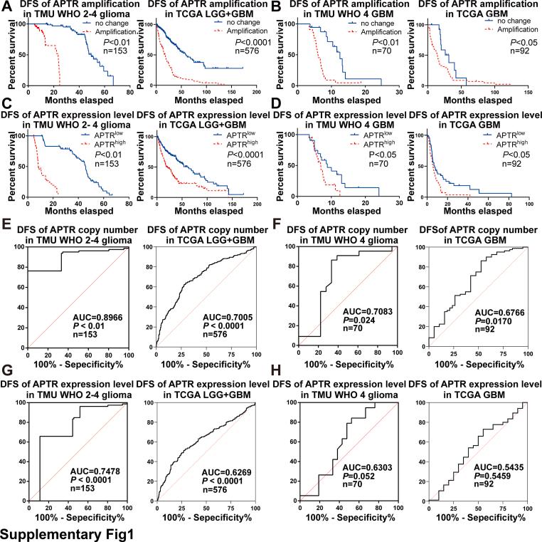 https://cdn.ncbi.nlm.nih.gov/pmc/blobs/758c/11914771/a6886a90a2b8/mmcfigs1.jpg