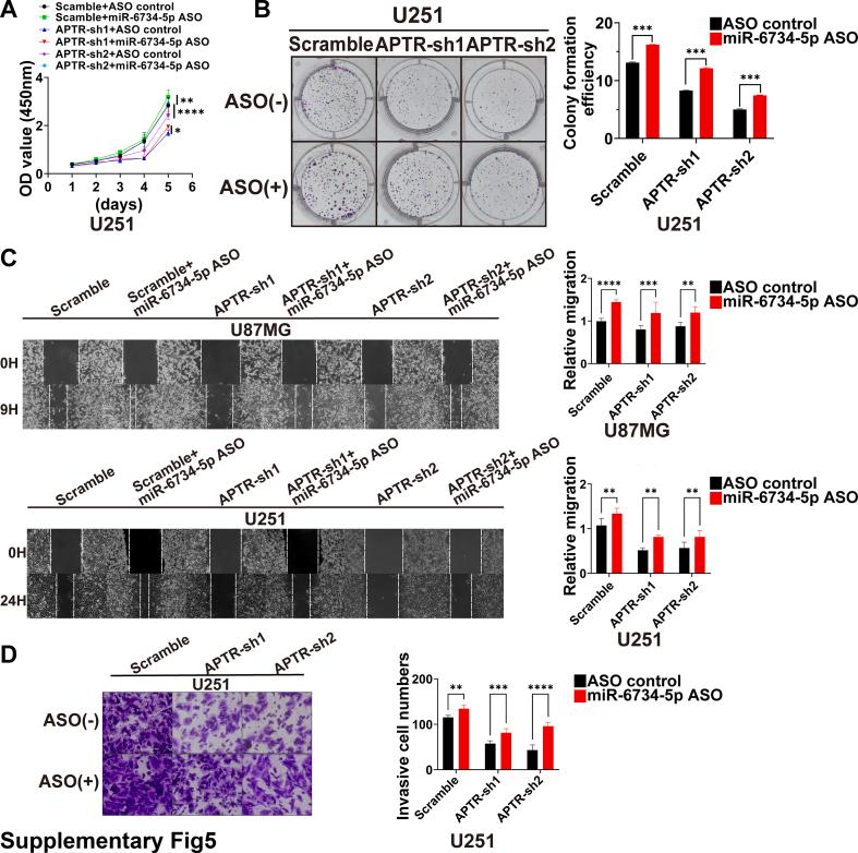 https://cdn.ncbi.nlm.nih.gov/pmc/blobs/758c/11914771/b75d8b769a59/mmcfigs5.jpg