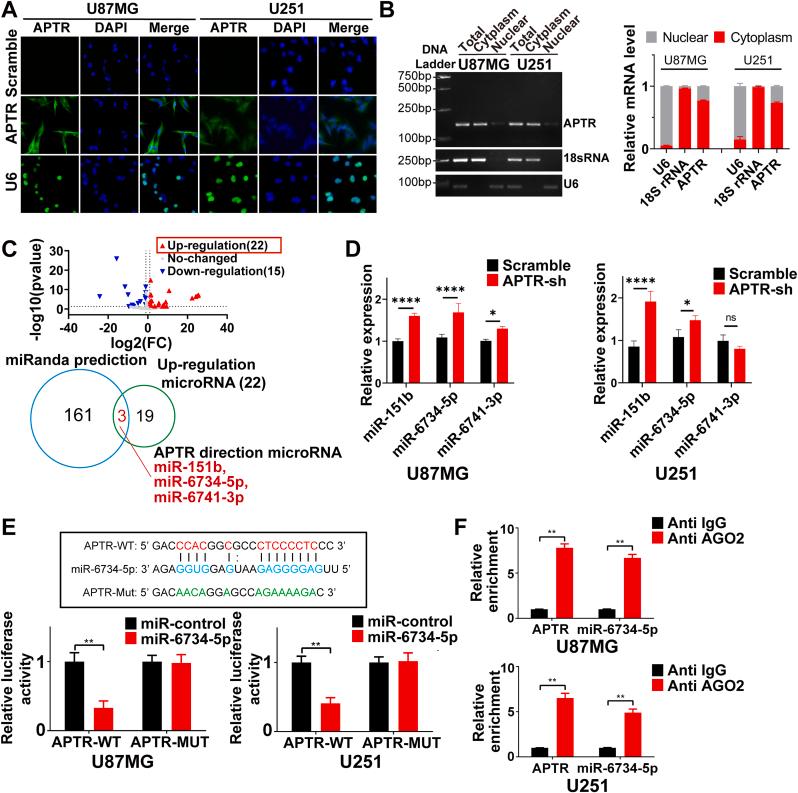 https://cdn.ncbi.nlm.nih.gov/pmc/blobs/758c/11914771/ea09c9e8e297/gr5.jpg