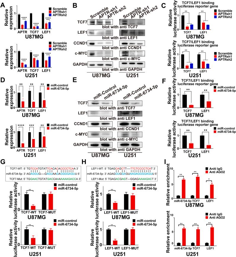 https://cdn.ncbi.nlm.nih.gov/pmc/blobs/758c/11914771/febc3dda144b/gr7.jpg