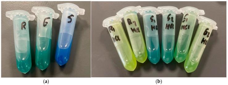 https://cdn.ncbi.nlm.nih.gov/pmc/blobs/758e/12300439/033f341fe682/pharmaceutics-17-00862-g008.jpg