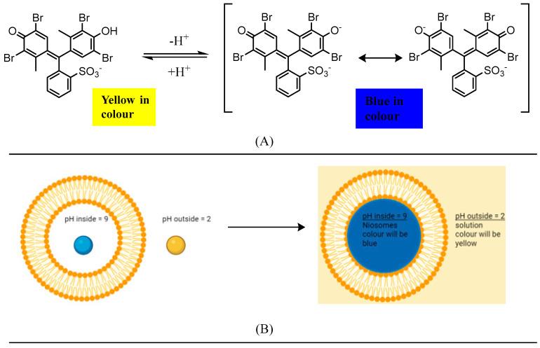 https://cdn.ncbi.nlm.nih.gov/pmc/blobs/758e/12300439/0941bc4e676e/pharmaceutics-17-00862-g004.jpg