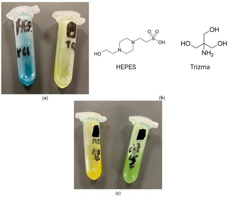 https://cdn.ncbi.nlm.nih.gov/pmc/blobs/758e/12300439/79a4f522ea37/pharmaceutics-17-00862-g012.jpg