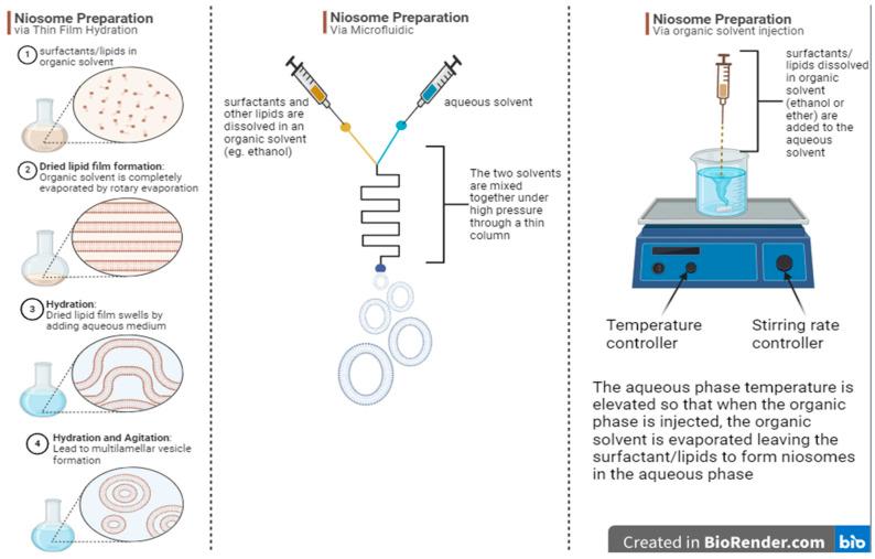https://cdn.ncbi.nlm.nih.gov/pmc/blobs/758e/12300439/ac9a8b9fdd1f/pharmaceutics-17-00862-g002.jpg