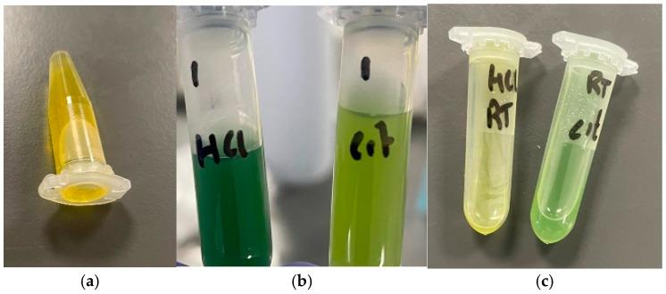 https://cdn.ncbi.nlm.nih.gov/pmc/blobs/758e/12300439/ce089843fb4e/pharmaceutics-17-00862-g011.jpg