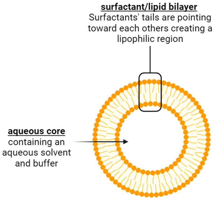 https://cdn.ncbi.nlm.nih.gov/pmc/blobs/758e/12300439/f1e5461d872c/pharmaceutics-17-00862-g001.jpg