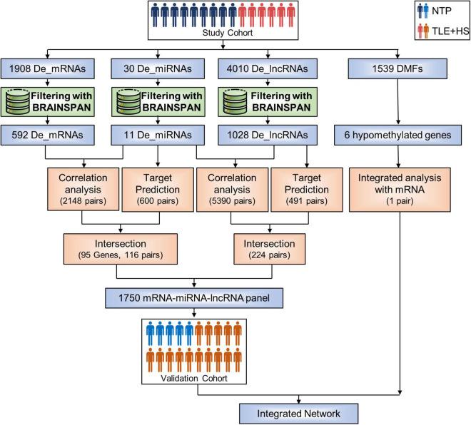 https://cdn.ncbi.nlm.nih.gov/pmc/blobs/758e/9243442/0d106bc91fb2/fnins-16-892022-g001.jpg