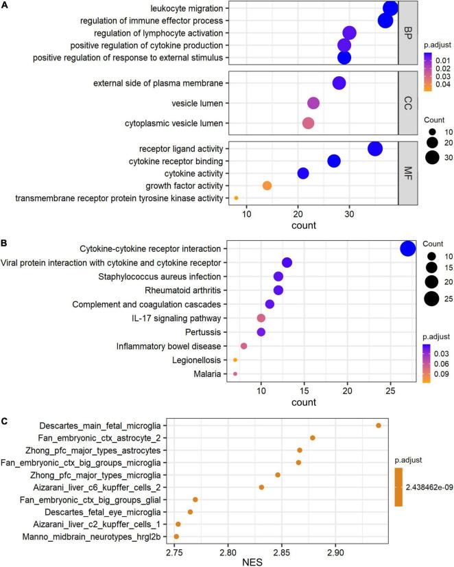 https://cdn.ncbi.nlm.nih.gov/pmc/blobs/758e/9243442/212f0740ca17/fnins-16-892022-g003.jpg