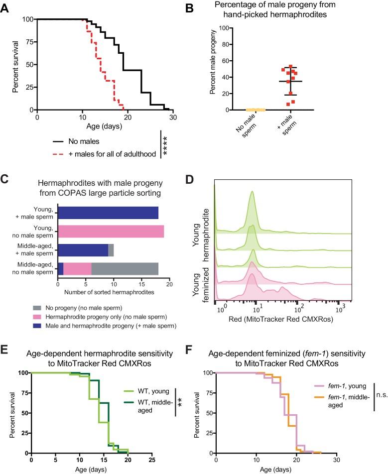 https://cdn.ncbi.nlm.nih.gov/pmc/blobs/758f/6697445/92f8723e95c4/elife-46418-fig1-figsupp1.jpg