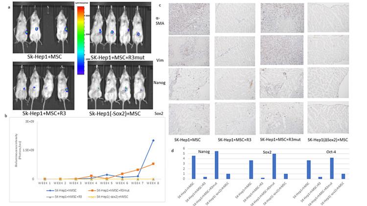 https://cdn.ncbi.nlm.nih.gov/pmc/blobs/7590/9583706/24e258c6af1a/cureus-0014-00000029354-i16.jpg