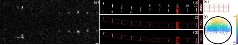 https://cdn.ncbi.nlm.nih.gov/pmc/blobs/7591/6349879/78aa0e0b6ab5/41598_2018_37341_Fig5_HTML.jpg