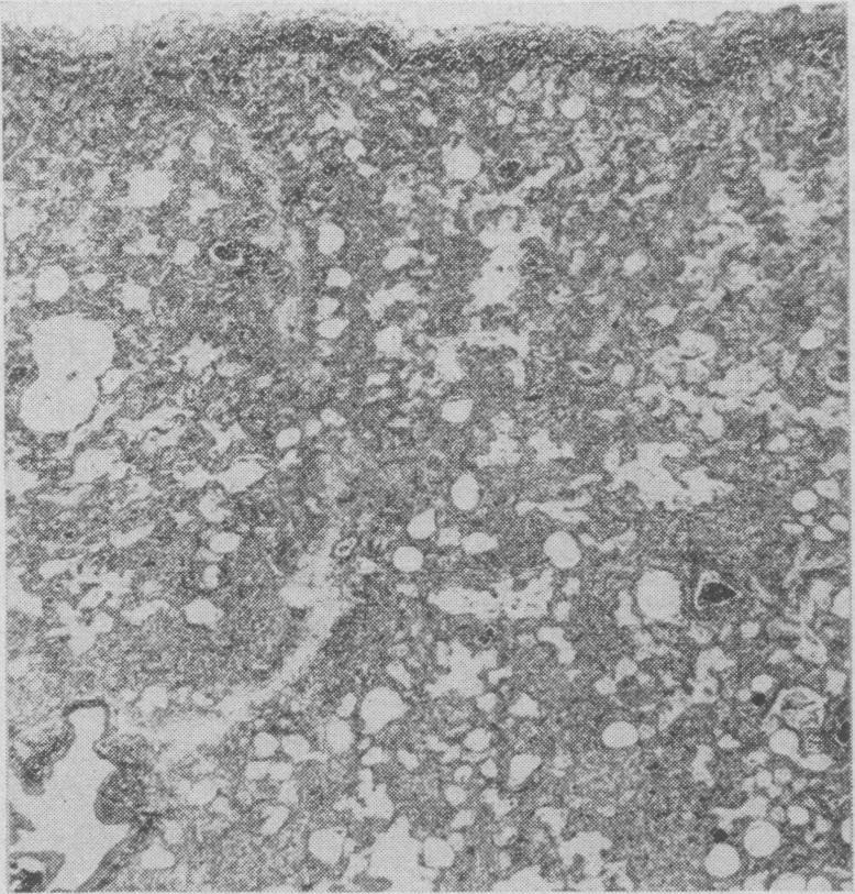 https://cdn.ncbi.nlm.nih.gov/pmc/blobs/7593/1825466/3b98ce70156f/canmedaj00705-0037-b.jpg