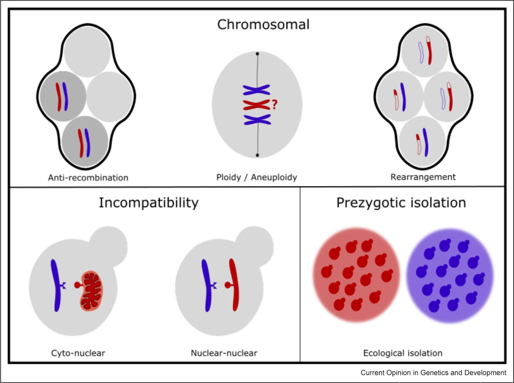 https://cdn.ncbi.nlm.nih.gov/pmc/blobs/7594/10210581/f8ec04c1094e/nihms-1895491-f0001.jpg