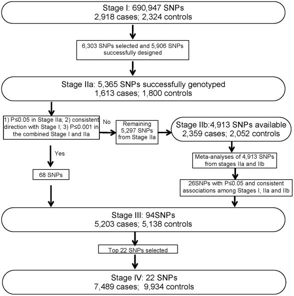 https://cdn.ncbi.nlm.nih.gov/pmc/blobs/7594/3285588/5bbda09f970e/pgen.1002532.g001.jpg