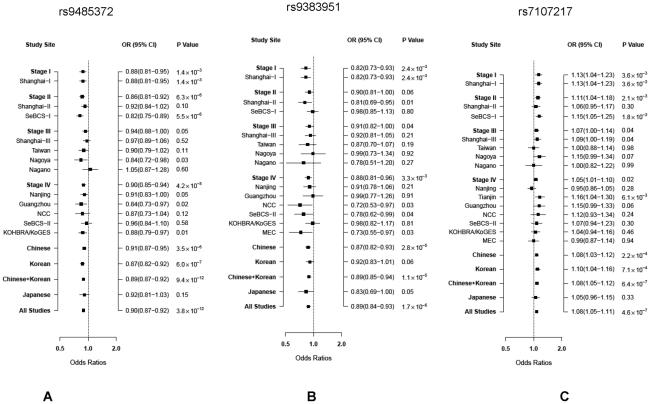 https://cdn.ncbi.nlm.nih.gov/pmc/blobs/7594/3285588/ec9c65805ac5/pgen.1002532.g002.jpg