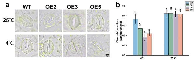 https://cdn.ncbi.nlm.nih.gov/pmc/blobs/7596/11167810/0b67e973de2b/12870_2024_5267_Fig5_HTML.jpg