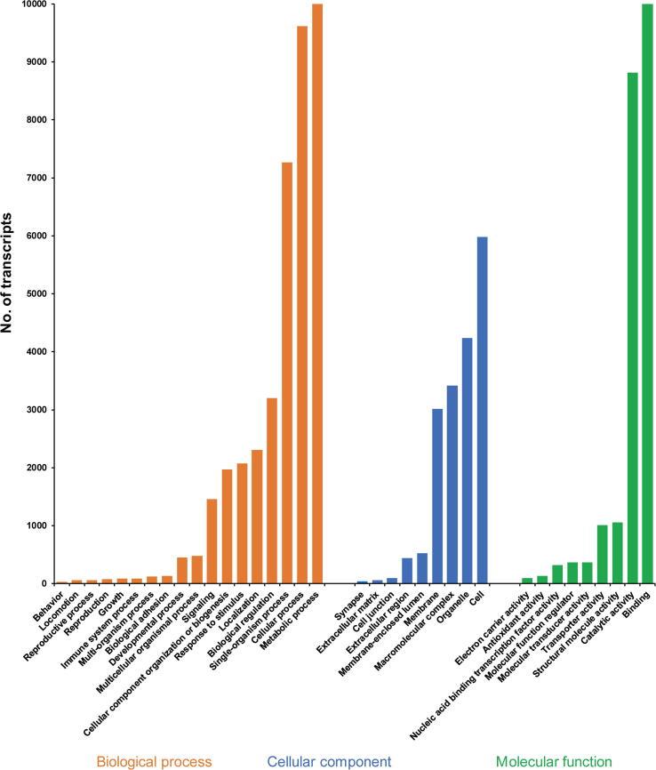 https://cdn.ncbi.nlm.nih.gov/pmc/blobs/7596/8242267/6fc7feec462a/fx2.jpg