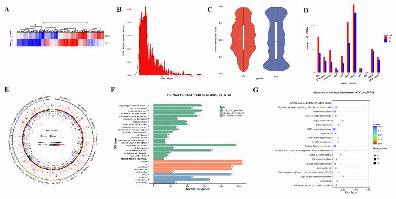 https://cdn.ncbi.nlm.nih.gov/pmc/blobs/7596/8658369/8330d83becd3/ijms-22-13075-g005.jpg