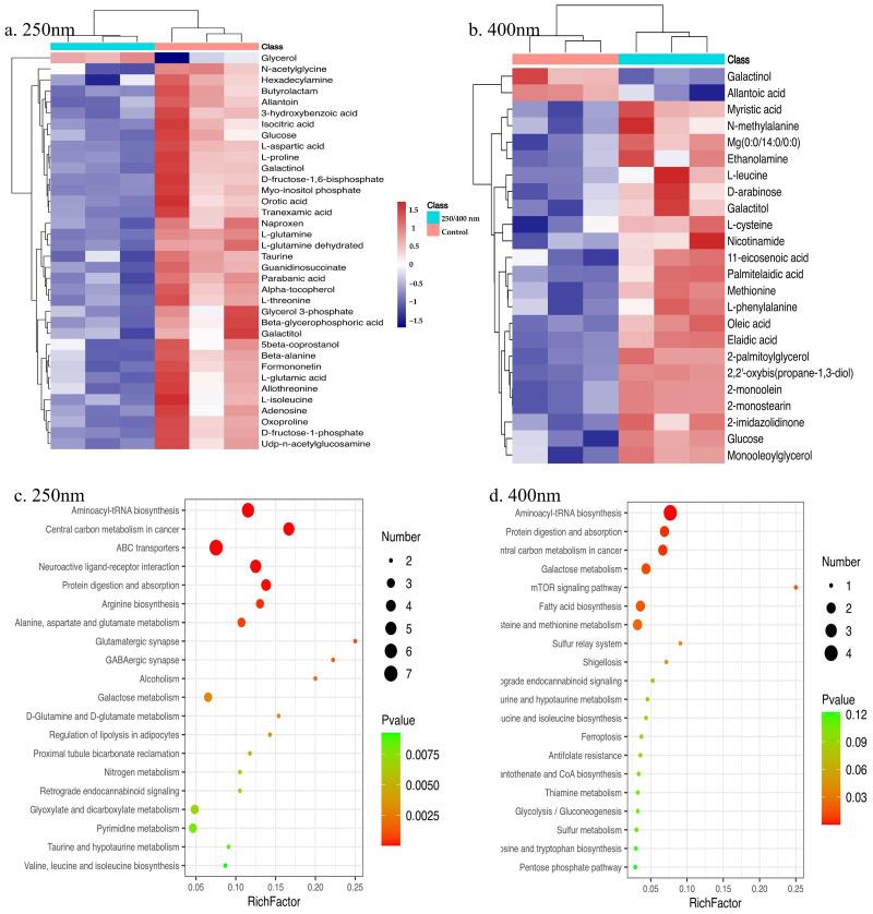 https://cdn.ncbi.nlm.nih.gov/pmc/blobs/759a/12031283/9b1493bd5fb1/toxics-13-00232-g0A2.jpg