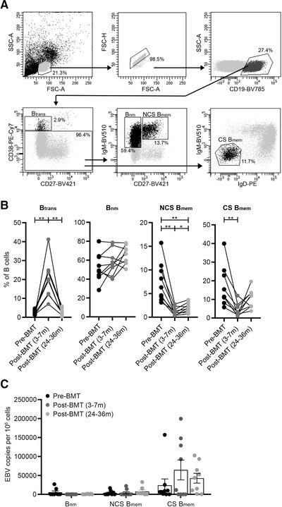 https://cdn.ncbi.nlm.nih.gov/pmc/blobs/759b/7984177/bb444a084e68/EJI-51-626-g004.jpg