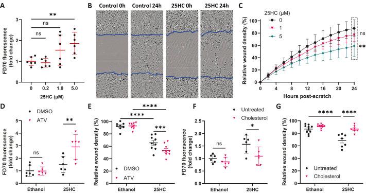 https://cdn.ncbi.nlm.nih.gov/pmc/blobs/759e/12128615/5aa897ae1f5b/dmm-18-052145-g5.jpg