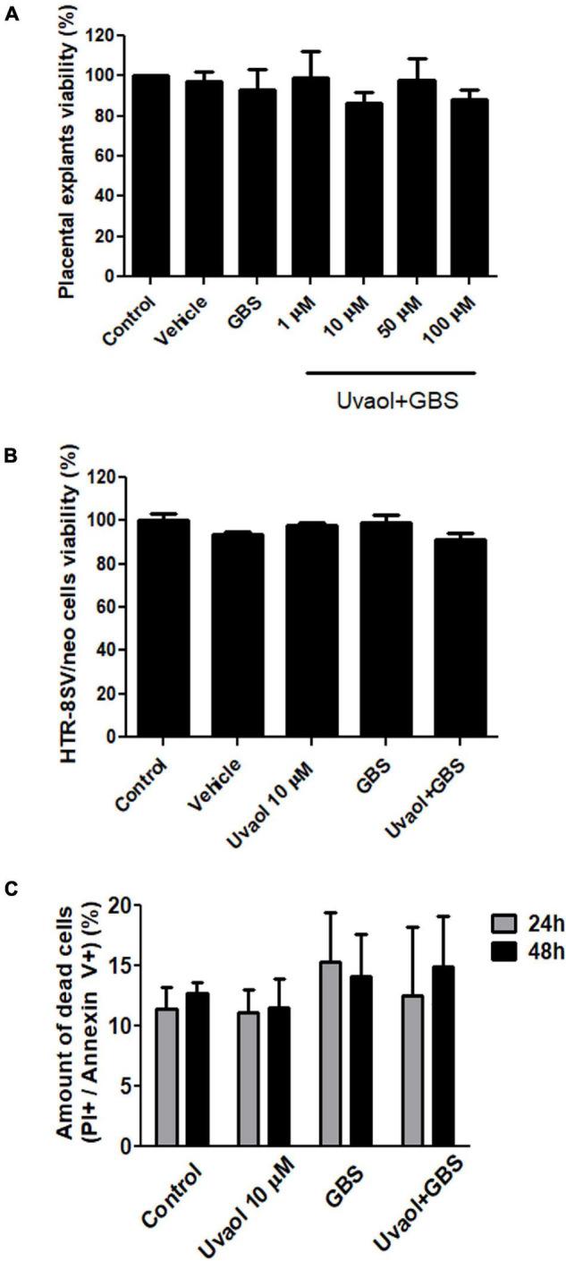 https://cdn.ncbi.nlm.nih.gov/pmc/blobs/759e/8678414/c0d86fb2c1bc/fphys-12-766382-g001.jpg