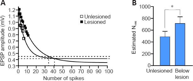 https://cdn.ncbi.nlm.nih.gov/pmc/blobs/75a0/9083143/a1b95d784c3d/NRR-17-2272-g004.jpg