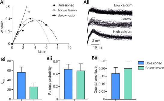 https://cdn.ncbi.nlm.nih.gov/pmc/blobs/75a0/9083143/de1c3d80b26e/NRR-17-2272-g006.jpg