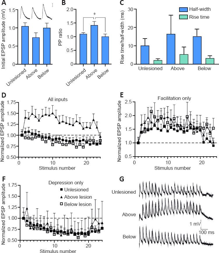 https://cdn.ncbi.nlm.nih.gov/pmc/blobs/75a0/9083143/ed64598347f7/NRR-17-2272-g002.jpg