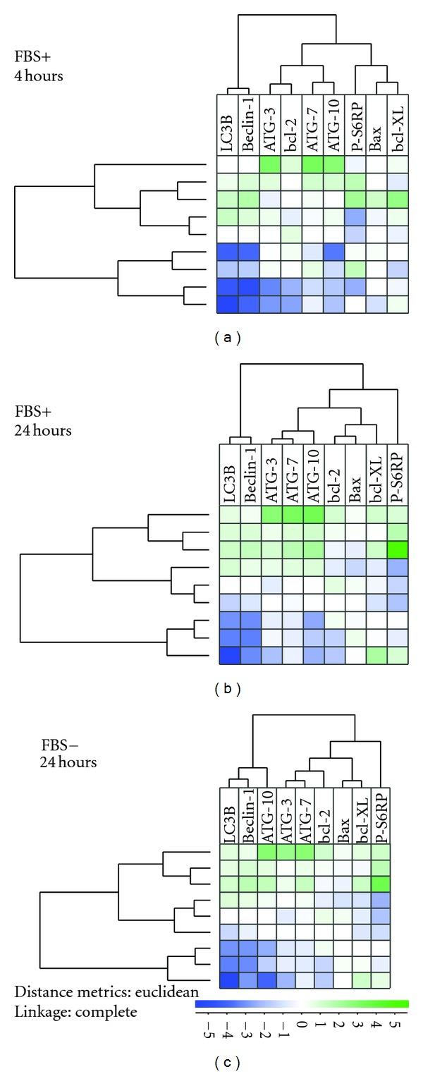 https://cdn.ncbi.nlm.nih.gov/pmc/blobs/75a4/3467767/9be05eed0c59/BMR2012-329061.002.jpg