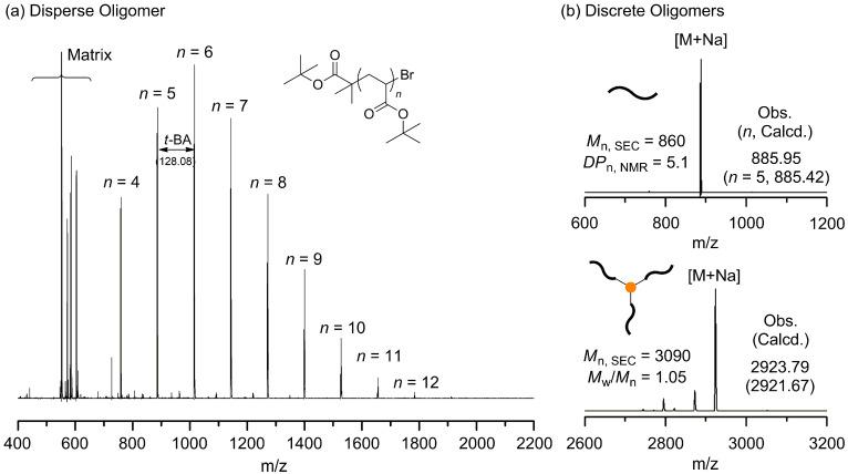 https://cdn.ncbi.nlm.nih.gov/pmc/blobs/75a5/12196678/3659bc68a576/polymers-17-01662-g002.jpg