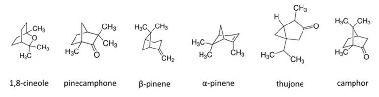 https://cdn.ncbi.nlm.nih.gov/pmc/blobs/75a7/8658995/79523f27b884/materials-14-07403-g006.jpg