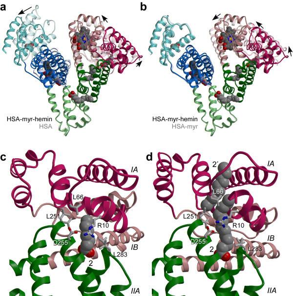 https://cdn.ncbi.nlm.nih.gov/pmc/blobs/75aa/166163/f7724d9f4819/1472-6807-3-6-2.jpg