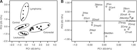 https://cdn.ncbi.nlm.nih.gov/pmc/blobs/75ac/3251876/b033a88f0f3b/bjc2011437f6.jpg