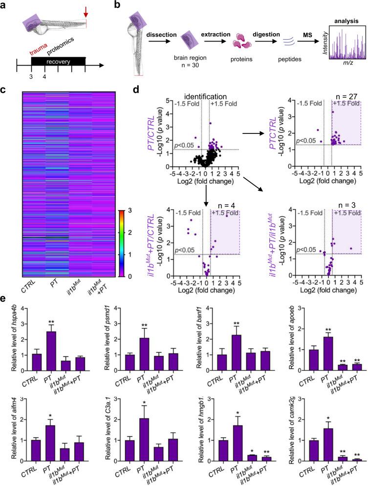 https://cdn.ncbi.nlm.nih.gov/pmc/blobs/75ac/9356012/a427197512b5/12276_2022_801_Fig7_HTML.jpg