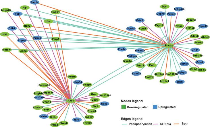 https://cdn.ncbi.nlm.nih.gov/pmc/blobs/75ad/10284603/cf9c339cea42/elife-83606-fig9.jpg