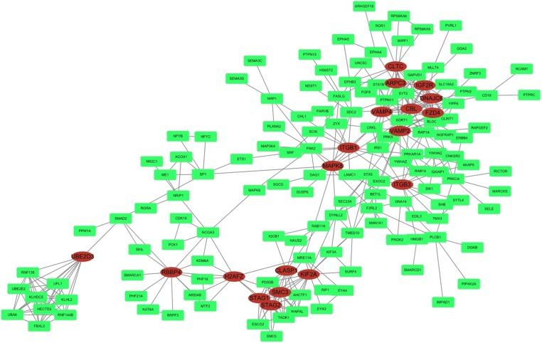 https://cdn.ncbi.nlm.nih.gov/pmc/blobs/75ad/6005163/233f2a630cc2/peerj-06-5011-g006.jpg