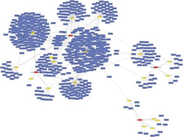 https://cdn.ncbi.nlm.nih.gov/pmc/blobs/75ad/6005163/8bf1d7dc63b9/peerj-06-5011-g003.jpg