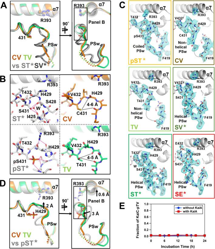 https://cdn.ncbi.nlm.nih.gov/pmc/blobs/75ae/11128299/3dd831b5d232/21_e210001-g002.jpg