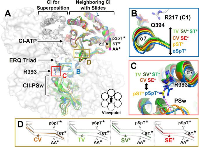 https://cdn.ncbi.nlm.nih.gov/pmc/blobs/75ae/11128299/b833368f7132/21_e210001-g005.jpg