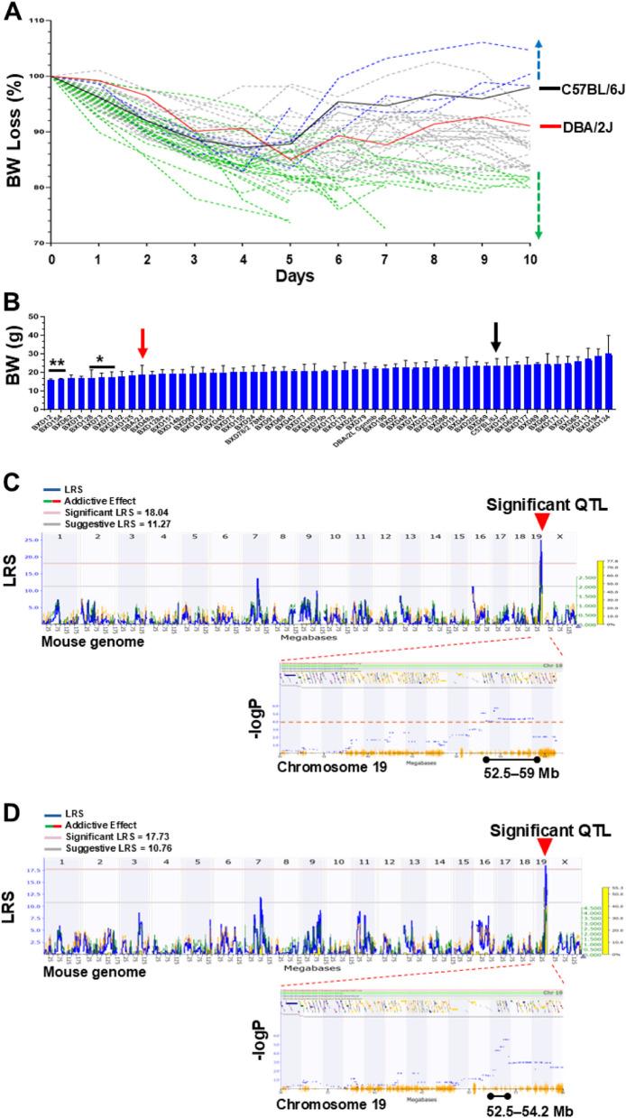 https://cdn.ncbi.nlm.nih.gov/pmc/blobs/75af/12131464/fd05547afb2b/40959_2025_349_Fig3_HTML.jpg