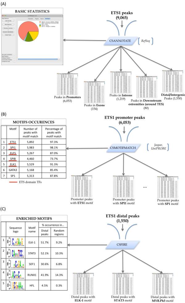 https://cdn.ncbi.nlm.nih.gov/pmc/blobs/75af/3145611/c915400a54a8/1471-2105-12-277-2.jpg