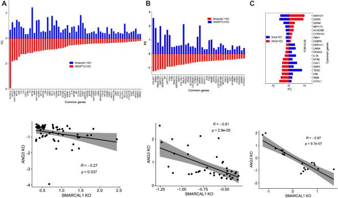 https://cdn.ncbi.nlm.nih.gov/pmc/blobs/75b0/11814109/21f7d5783c83/41598_2025_89552_Fig5_HTML.jpg