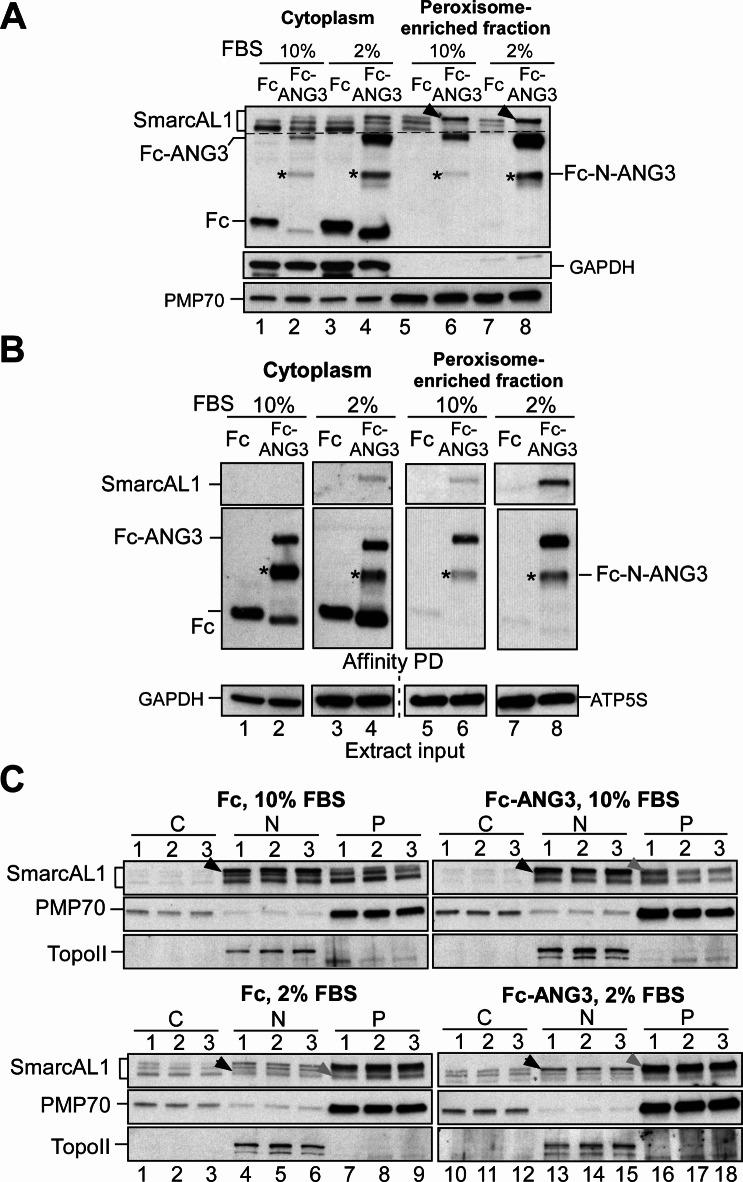 https://cdn.ncbi.nlm.nih.gov/pmc/blobs/75b0/11814109/7b047d0d76fe/41598_2025_89552_Fig3_HTML.jpg