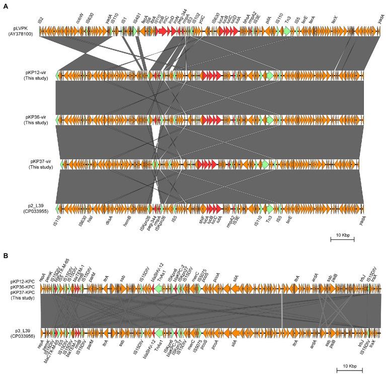 https://cdn.ncbi.nlm.nih.gov/pmc/blobs/75b1/8529244/324763f1a216/fmicb-12-736896-g005.jpg