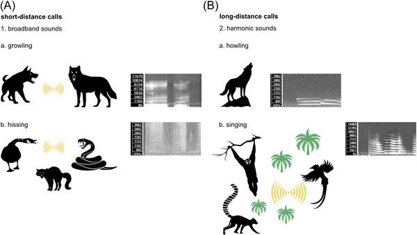 https://cdn.ncbi.nlm.nih.gov/pmc/blobs/75b3/12412726/8f448f540bf0/NYAS-1550-206-g004.jpg