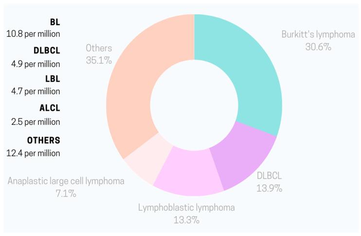 https://cdn.ncbi.nlm.nih.gov/pmc/blobs/75b5/10672004/bc85b5de05a6/jpm-13-01595-g001.jpg