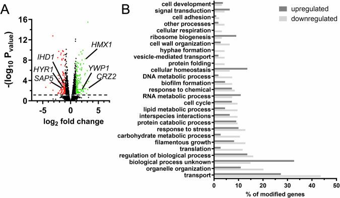 https://cdn.ncbi.nlm.nih.gov/pmc/blobs/75b7/11721669/07b71f7bbb21/44259_2024_40_Fig10_HTML.jpg