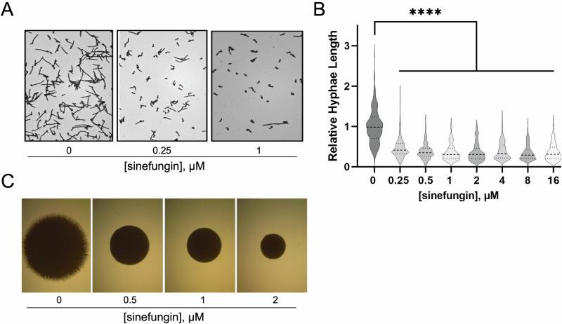 https://cdn.ncbi.nlm.nih.gov/pmc/blobs/75b7/11721669/66fc05e79115/44259_2024_40_Fig2_HTML.jpg