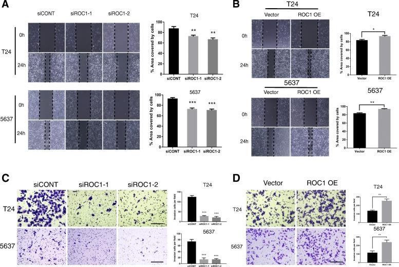 https://cdn.ncbi.nlm.nih.gov/pmc/blobs/75ba/8106150/e133e09fcc74/13046_2021_1935_Fig2_HTML.jpg